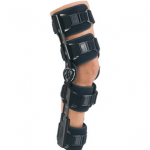 Quadriceps