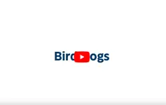 Bird Dogs