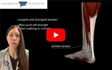 Dr. Flynn explains Christian McCaffrey injury - Educational Video