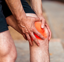 Knee