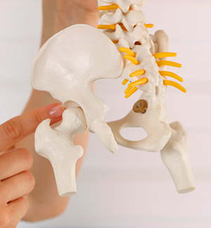 Publications - Dr. Benjamin Domb