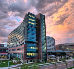 CU Orthopedics - Picture