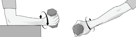 Forarm supination img
