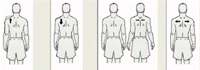 upright and wearing the sling img2