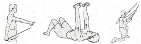 Resisted Scapula Strengthening img