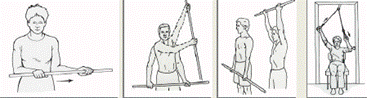Upright Active Assisted Range of Motion img