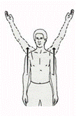 Active Range of Motion img