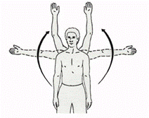 patient moves the arm in front of the body img
