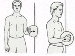 Isometric External and Internal Rotation img