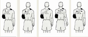 upright and wearing the sling img