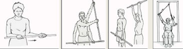 Upright Active Assisted Range of Motion img