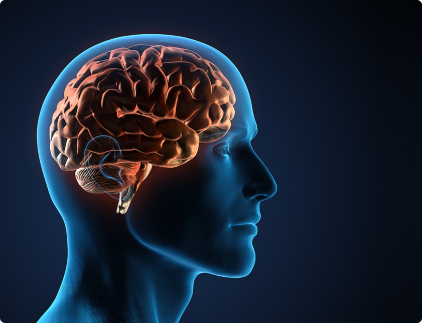 Brain Surgery