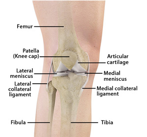 Unstable Knee img