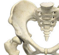 Developmental Dysplasia