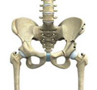 Hip Preservation Surgery