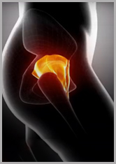 Bilateral Hip Review