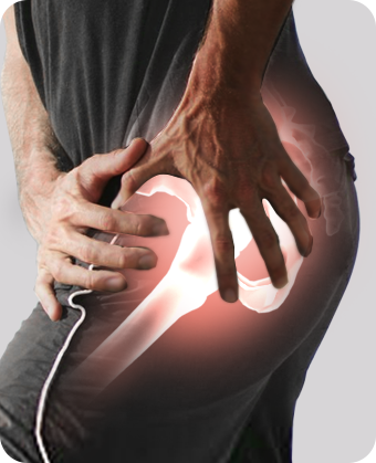 Knee joint