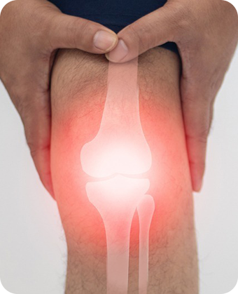 Knee joint