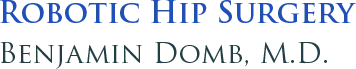 Benjamin Domb MD Orthopaedic Hip Knee Shoulder Surgeon Chicago IL