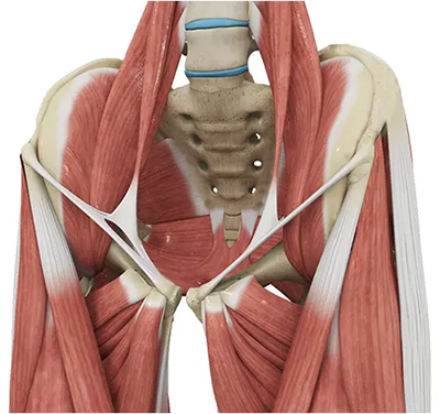 Ehlers Danlos Syndrome