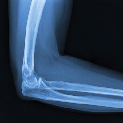 Elbow Anatomy