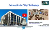 A Summary of Extra-Articular Hip Pathologies