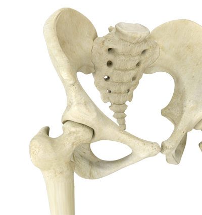 Periacetabular Osteotomy