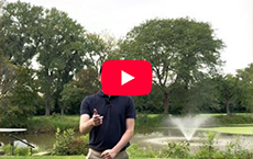 Educational Video image10