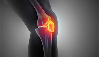 Knee Logo