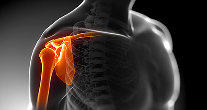 Shoulder Logo