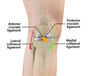 Ligament Injuries
