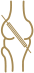 ACL Reconstruction Icon