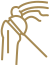 Shoulder Replacement Icon