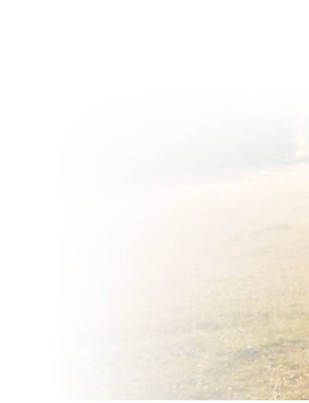 Jonathan Vigdorchik, M.D - Board-Certified Orthopaedic Hip & Knee Surgeon