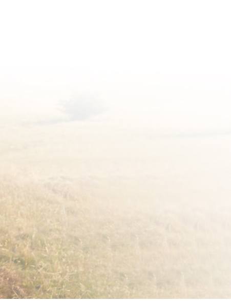 Jonathan Vigdorchik, M.D - Board-Certified Orthopaedic Hip & Knee Surgeon