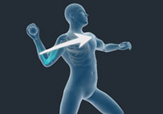 Picture of Sports Injuries of the Shoulder