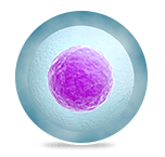 Cell therapy Therapy