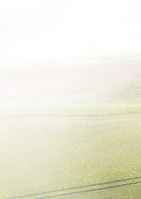 Jeremy C. Wang, M.D.