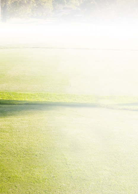 Jeremy C. Wang, M.D.