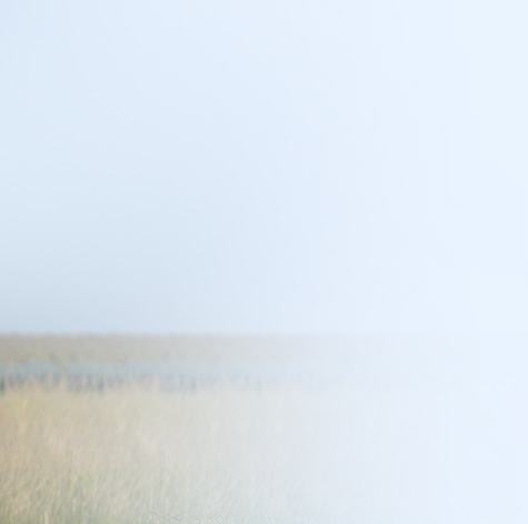 Chris Hoedt, MD - Orthopaedic Surgeon - Hip & Knee Reconstruction Specialist