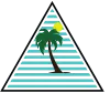 Palm Beach Orthopaedic Institute logo