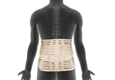 Back and Neck Braces