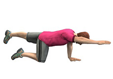 Spine Rehabilitation