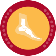 Ankle & Foot Centers of Western New York
