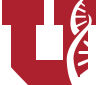university-of-utah