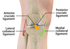 Ligament Injuries