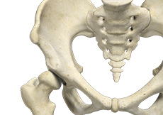 Developmental Dysplasia