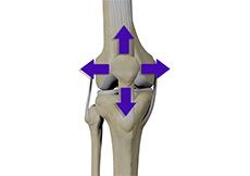 Patellar Tracking Disorder/Patellar Maltracking