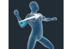 Throwing Injuries of the Shoulder