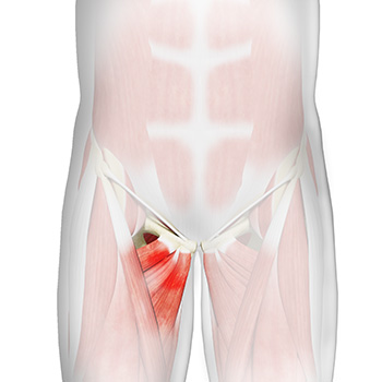Athletic Pubalgia